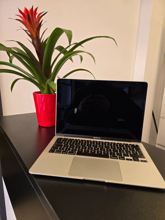 Apple MacBook Air 13 2020 Intel Core i3 8Gb RAM 256Gb SSD