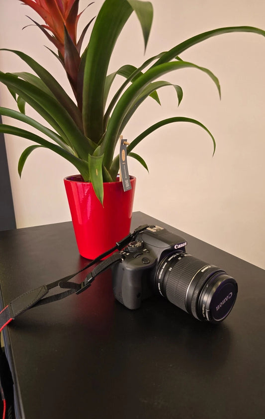 Canon Reflex 100D Grado A